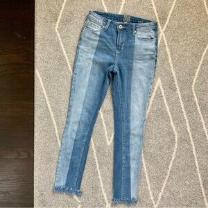 True Craft Light and Medium Wash Skinny Jeans with Frayed Hem